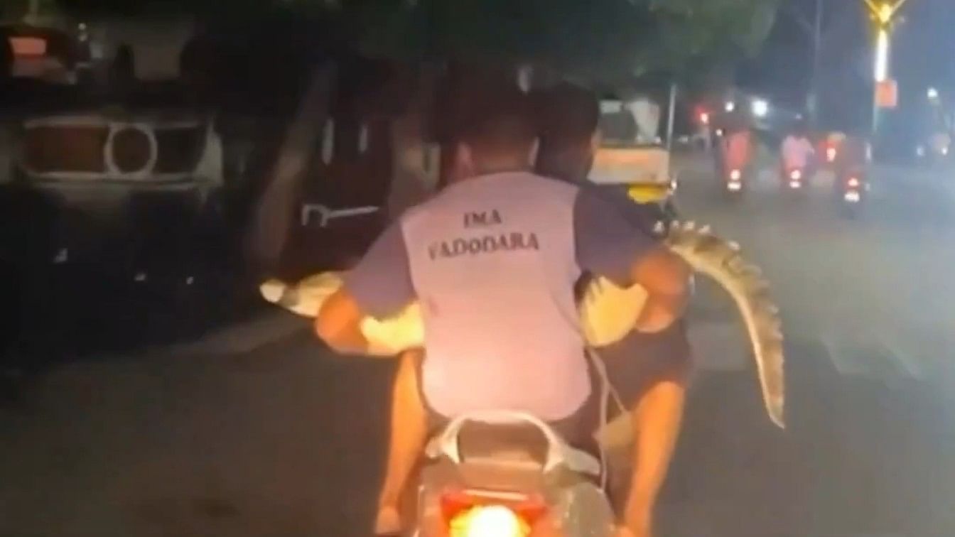 <div class="paragraphs"><p>A screengrab from the video showing two people carrying crocodile on scooter.</p></div>